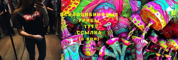 экстази Горняк