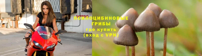 Галлюциногенные грибы MAGIC MUSHROOMS  Арск 